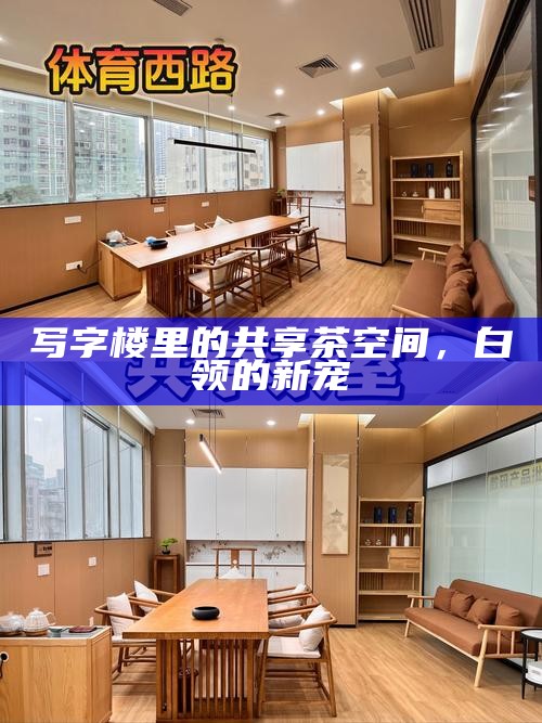 写字楼里的共享茶空间，白领的新宠